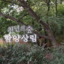 상림플라워