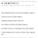 E.F 모텔 이미지