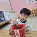 방울토마토 화분에 물 주기💦 이미지