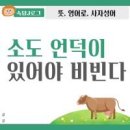 ◆이재명은 제쳐두고 忠犬인 친명계 의원과 개딸들이 문제다 이미지