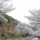 경현포차 네이버블로그