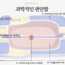 젠틀펫 이미지