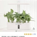 싹틔움 팜 | 가정용 스마트팜 상추키우기