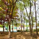 구갈레스피아 게이트볼장 이미지