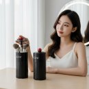 브리시