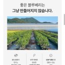 블루베리 | 델리오 프리미엄 과일 전문 쇼핑몰 생블루베리 후기