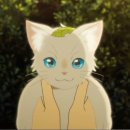 나는고양이 이미지