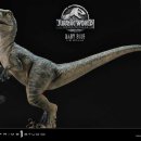 베이비프라임 이미지