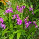 산유화농장 이미지