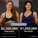 넷플릭스/MVP MMA 로우지 vs 카라노 공개 대전료 이미지