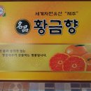 황금향 이미지