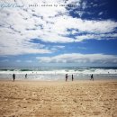 파라다이스 이미지