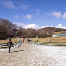 영동목장 이미지