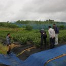 형제농원 이미지