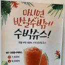 수박디에스티 네이버블로그