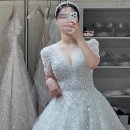Wedding :: 본식 드레스 셀렉 후기 클라라 웨딩 드레스/ 웨딩 컴퍼니엘/ 대전 클라라 드레스
