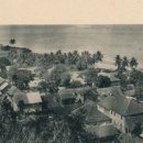 J(제이)농장 이미지