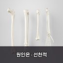 꿈꾸는한의원 네이버블로그