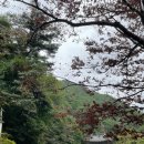 역전대덕식당 이미지