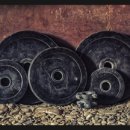 신순철 용인대 복싱클럽 이미지