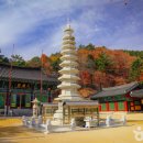 산과별 관광농원 이미지