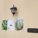 그랑시티자이1차 104동 앞 이미지