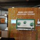 토담오리 이미지