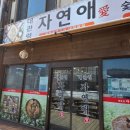 초당에너지 | 강아지랑 강릉여행 2박 3일(정동진/나상명초당순두부/소리향/대관령하늘목장/실버벨교회/유리알유희...