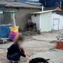 씨유고성공현진해변점 | 강원도 고성 바닷가마을 주말 웨이팅 후기