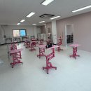 클로버 애견미용 이미지