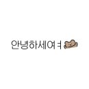 고기바다