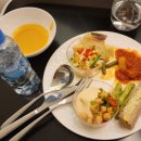 카타르 도하 공항 알마하 라운지 무료입장 음식종류 샤워 이용 후기