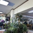 지에스(GS)25경포호수점 이미지