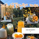 다락카페 | 제주 서귀포 “귤꽃다락” 카페 후기 | (위치,주차,메뉴,가격,꿀팁)