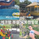 대구에코팜