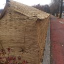 풍경 /청룡의 해가 만들어 놓은 ^^ 이미지