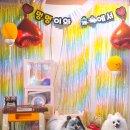 멍멍이와 숲속에서 이미지