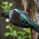 거모동원아파트 이미지