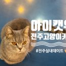 아이캣유 이미지