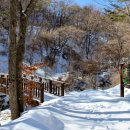 산삼자연휴양림(함양) 이미지