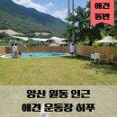 부산 근교 양산 원동 수영장 있는 애견운동장, 애견카페 히푸