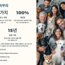 🏠 사설 보호소 vs 시보호소 완벽 비교! 입양 전 꼭 알아야 할 장단점과 선택 팁