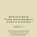 태초에 티스토리