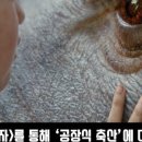 세기축산2 이미지