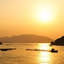 남해-196 이미지