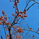 동촌여성경로당 이미지