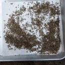 미사랑농장 이미지