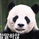 매형이 있었는데요 없었습니다 됨 이미지