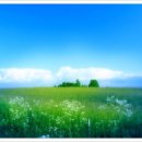 천사들의 노래(동요) 이미지