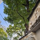 (주)문인 이미지